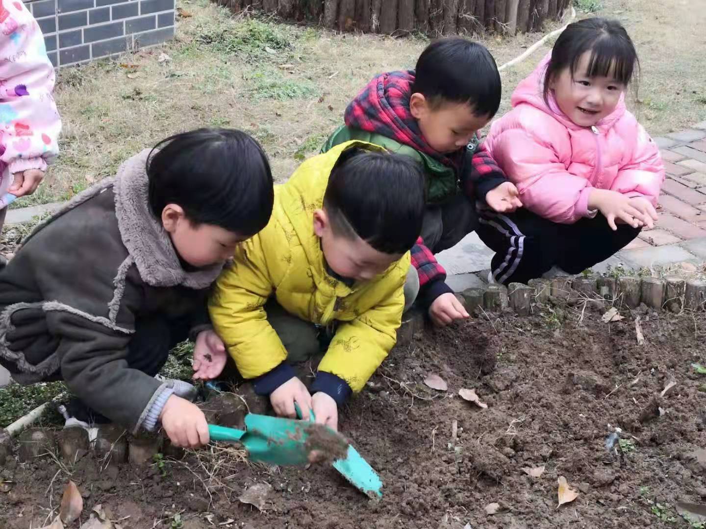 种大蒜啦！——合沟中心幼儿园开展种植活动 _学校新闻_新沂市合沟中心小学