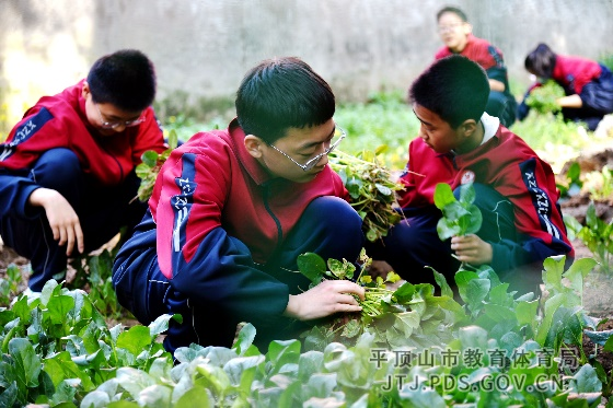 图片1.png