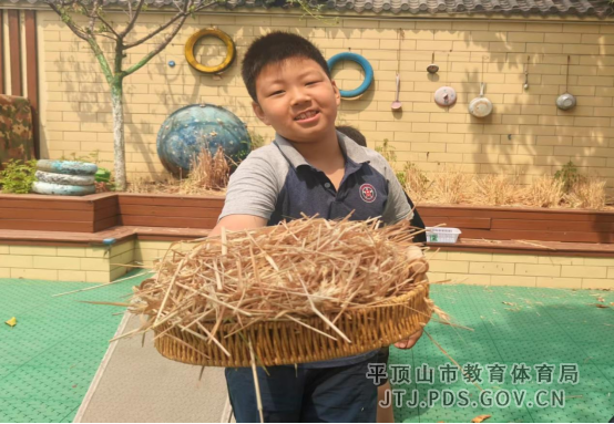 13. 平东幼儿园开展劳动实践活动(2)703.png